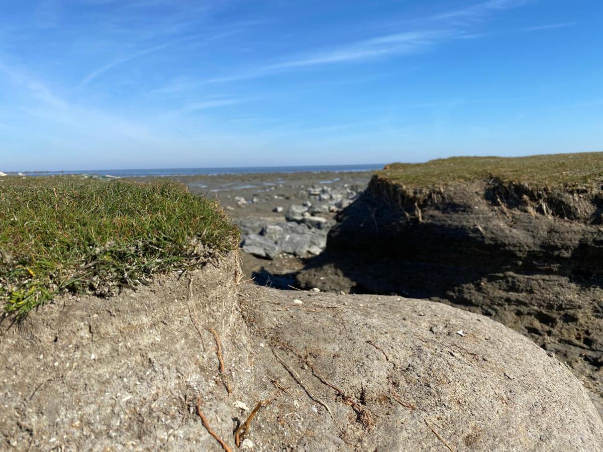 Wierums Huske Aan De Waddenzee Unesco Werelderfgoed ภายนอก รูปภาพ