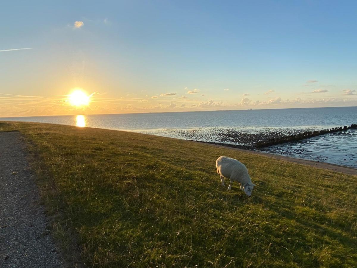 Wierums Huske Aan De Waddenzee Unesco Werelderfgoed ภายนอก รูปภาพ