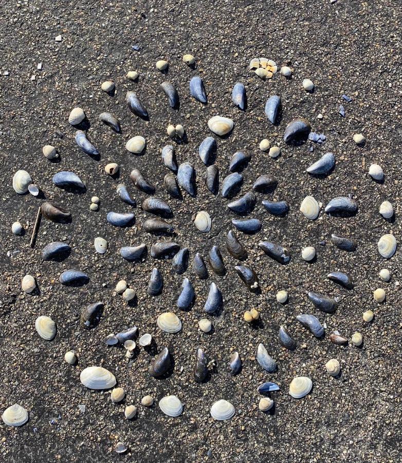 Wierums Huske Aan De Waddenzee Unesco Werelderfgoed ภายนอก รูปภาพ